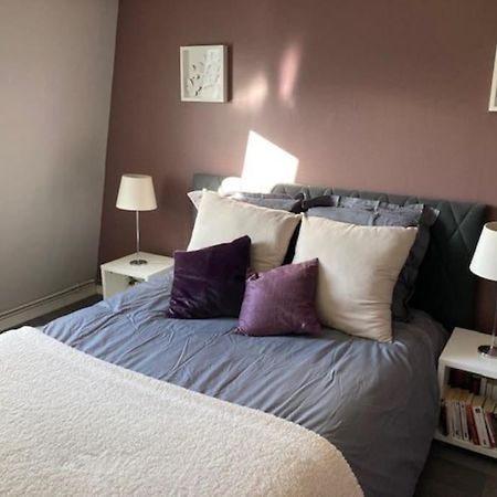Agreable Et Spacieuse Maison Centre Ville Saint-Omer 外观 照片