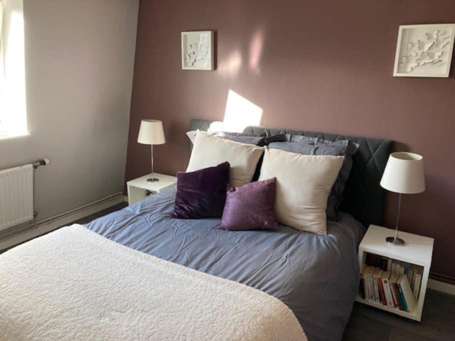 Agreable Et Spacieuse Maison Centre Ville Saint-Omer 外观 照片